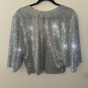 Zara Silver Sequin Women's Top